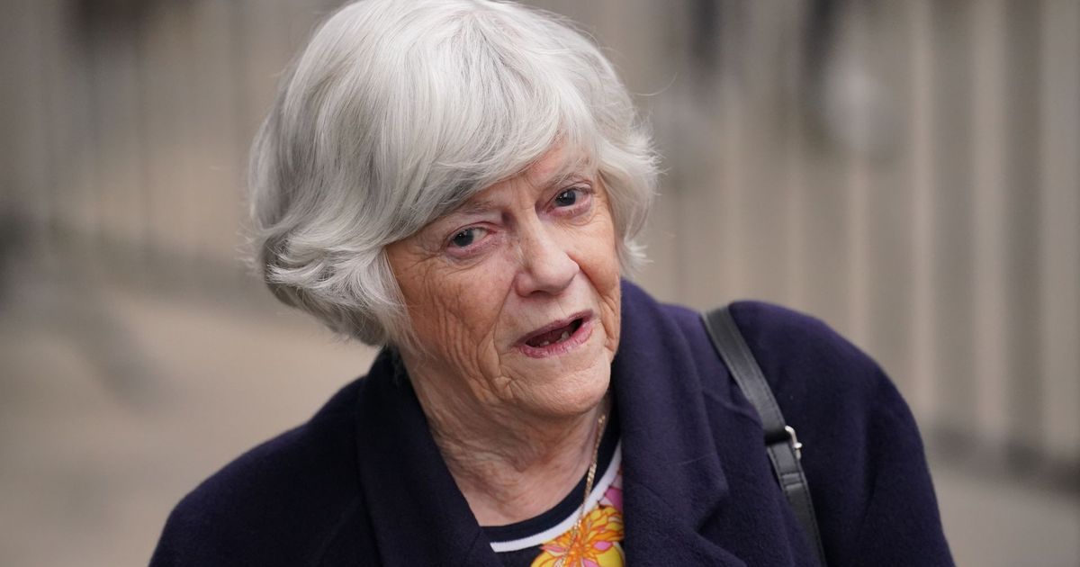 imported-skynews-ann-widdecombe_7304672.jpg