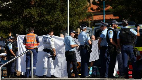 imported-skynews-australia-shark_7272185.jpg