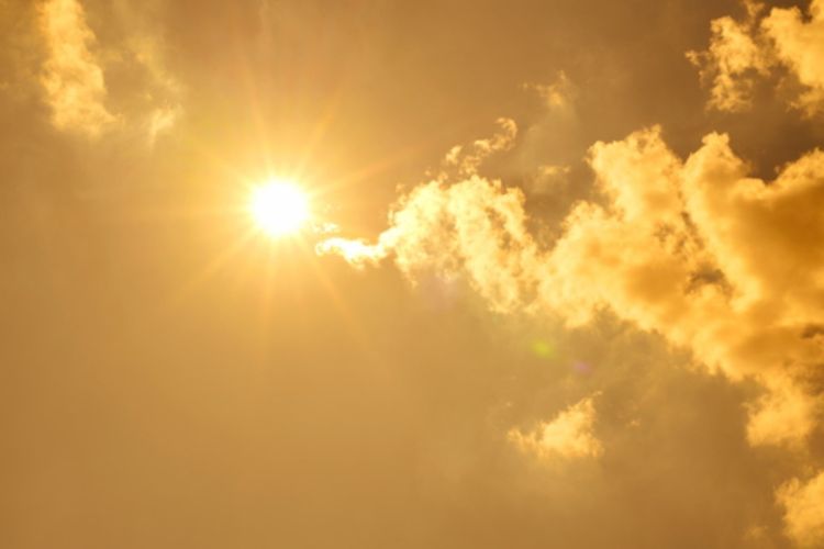 imported-iStock-1254065595-40cf1e.jpg