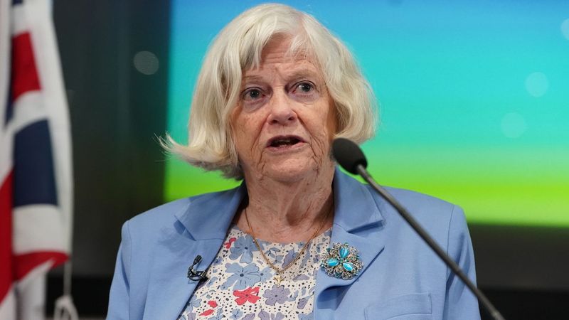 imported-skynews-ann-widdecombe-politics_7299120.jpg