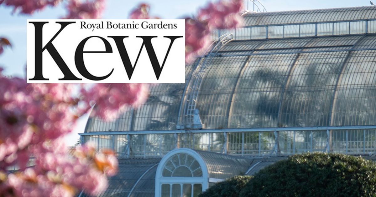 Palm House with cherry blossom - CREDIT - Jeff Eden © RBG Kew.jpg