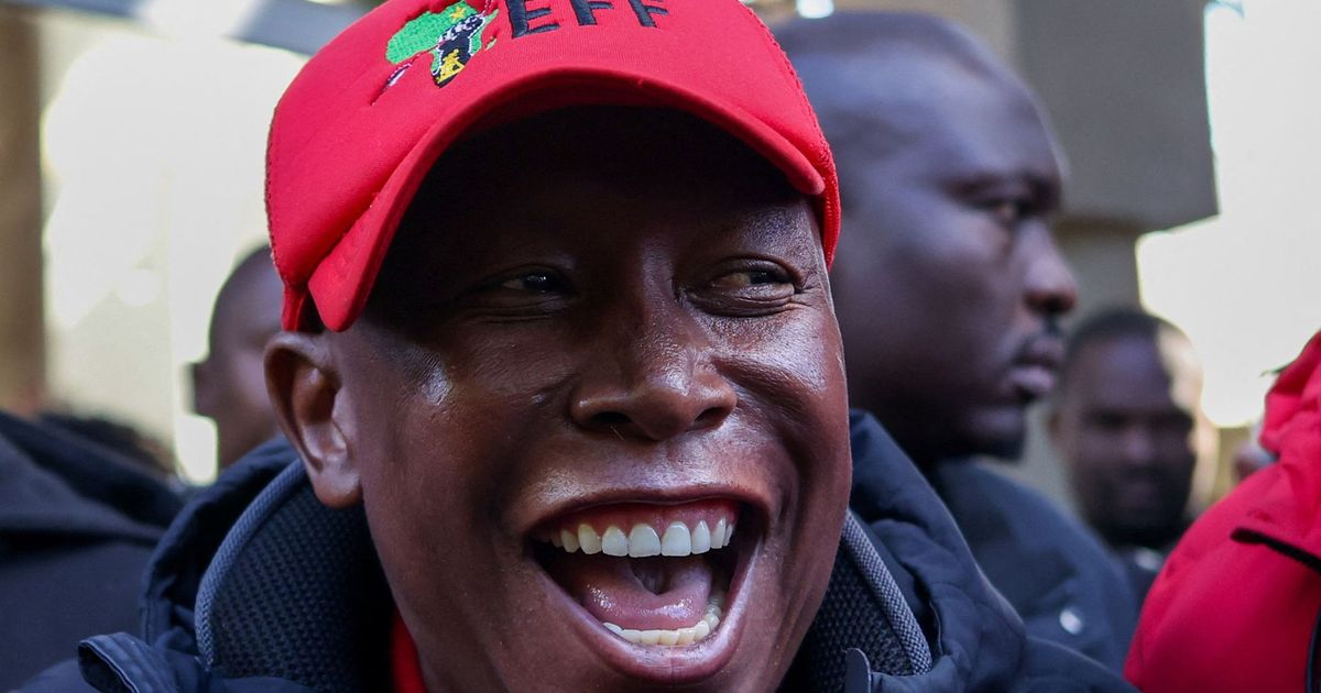 imported-skynews-julius-malema-south-africa_7251377.jpg