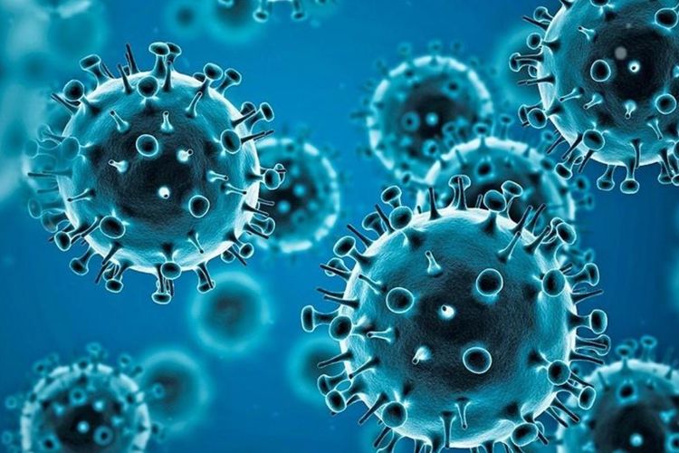 imported-coronavirus-2-716339.jpg