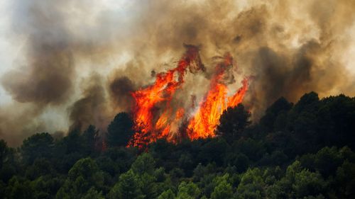 imported-skynews-spain-wildfire-fire_7309617.jpg