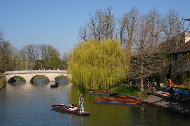 imported-0_Spring-weather-March-19th-2026.jpg