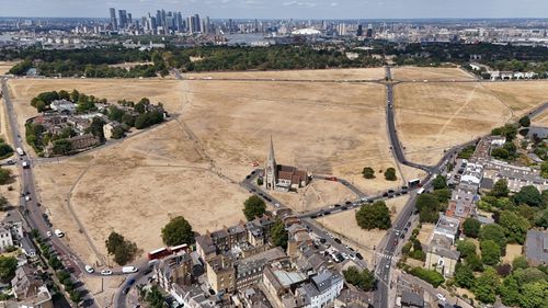 imported-skynews-blackheath-parched_7309447.jpg
