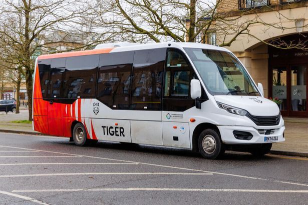 imported-0_Tiger-on-demand-busjfif.jpg