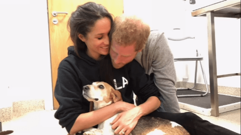 imported-skynews-meghan-markle-duke-of-sussex_6794317.png