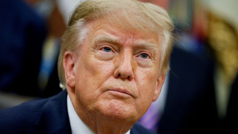 imported-skynews-trump-donald-trump_7356710.jpg