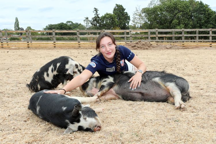 imported-.jpeg