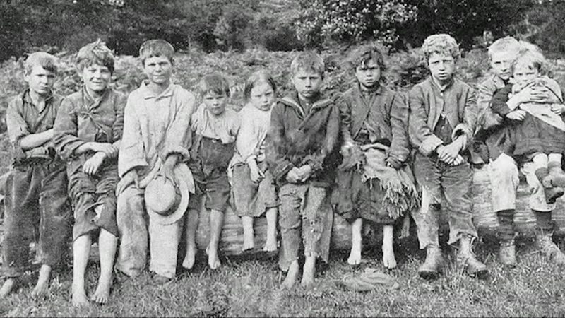 imported-skynews-matthews-gypsy-traveller_5342504.jpg