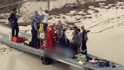 imported-skynews-emergency-shark_7250201.png