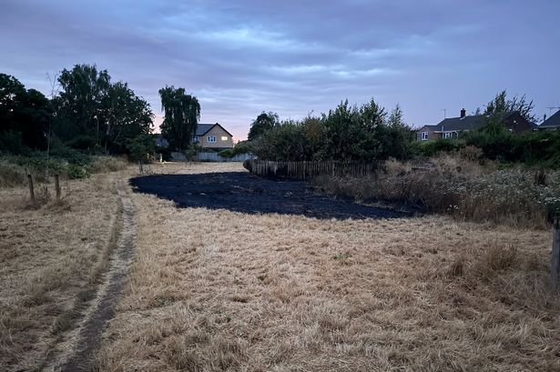 imported-0_Five-Trees-fire-Andrew-Cleland.jpg