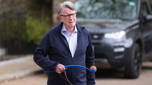 imported-skynews-peter-mandelson-dog_7225153.jpg
