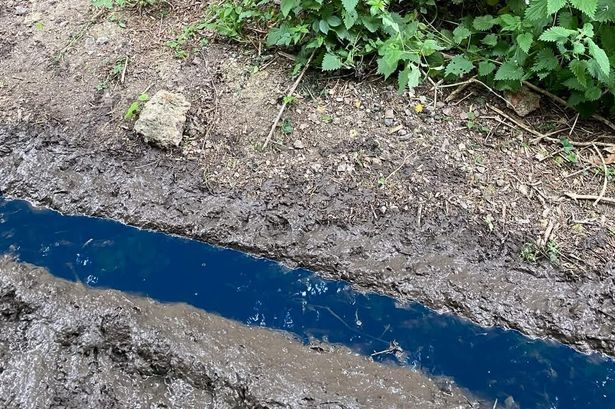 imported-0_Linton-blue-water.jpg