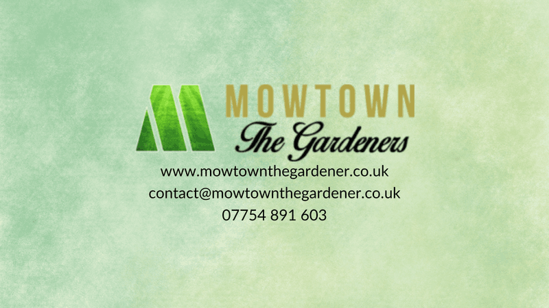 Mowtown The Gardener