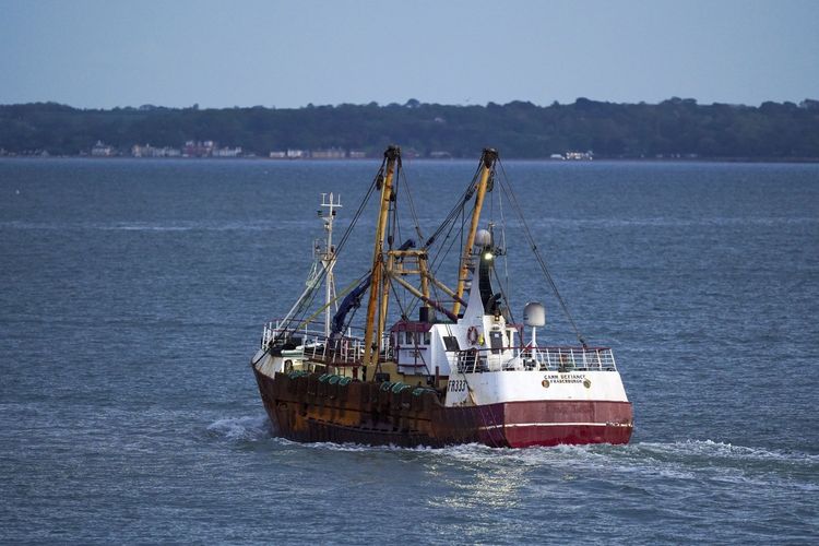 imported-2.61759626-87e48a.jpg