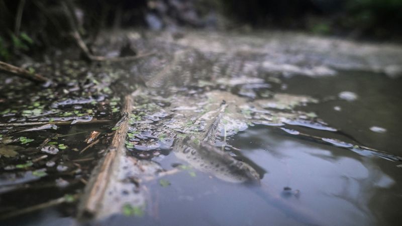 imported-skynews-water-uk-waterways_6943401.jpg
