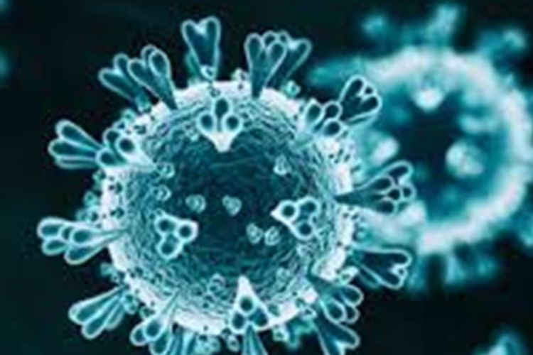 imported-coronavirus-bug-be5060.jpg
