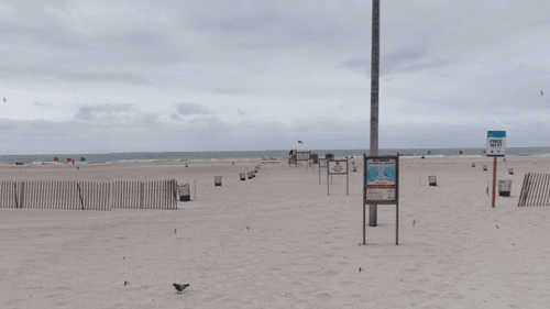 imported-skynews-google-beach-new-york_7289561.png