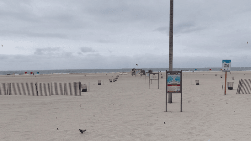 imported-skynews-google-beach-new-york_7289561.png