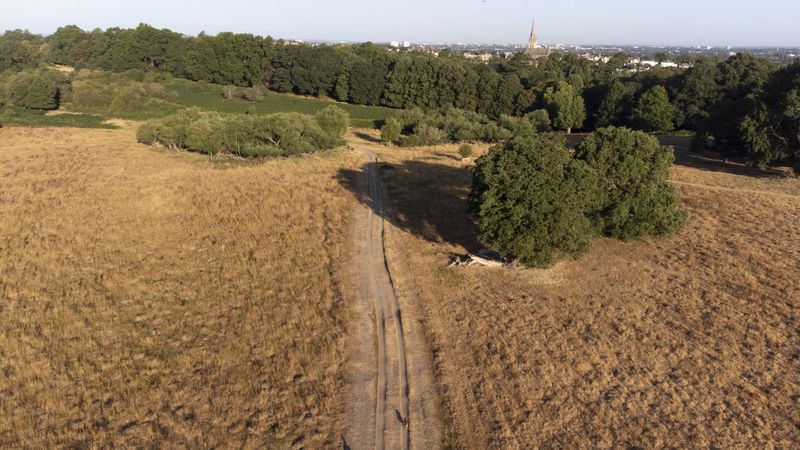 imported-skynews-heatwave-richmond_7317279.jpg