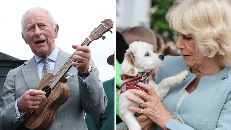 imported-skynews-king-charles-queen-camilla_7254809.png