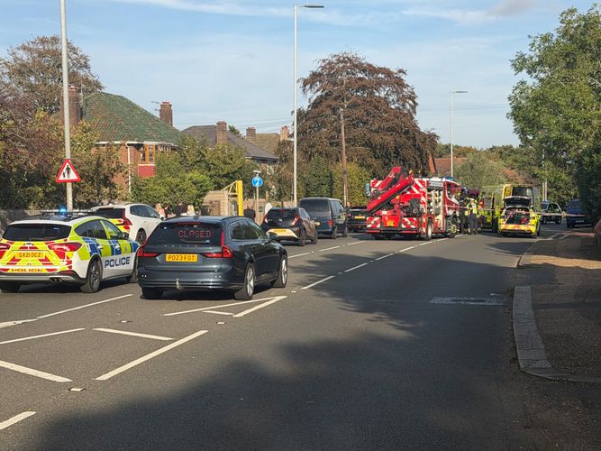 imported-.jpeg