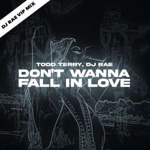 Don't Wanna Fall In Love 