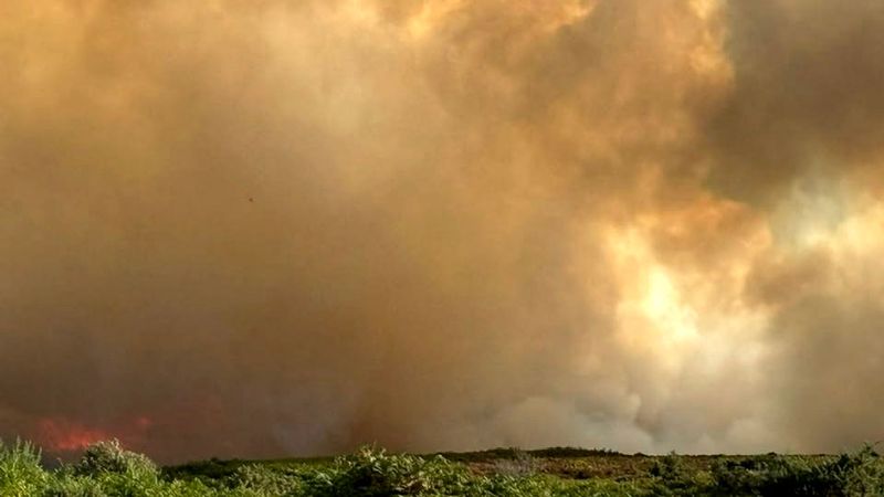 imported-skynews-a31-heathland-fire_7318094.jpg
