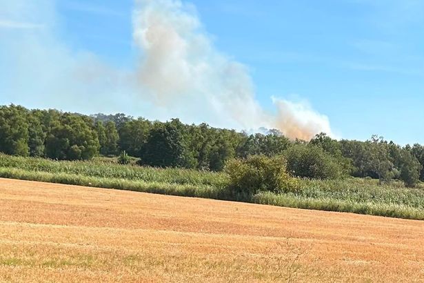 imported-0_A-fire-in-the-Holme-Fen-Nature-Reserve-on-Saturday-August-8.jpg