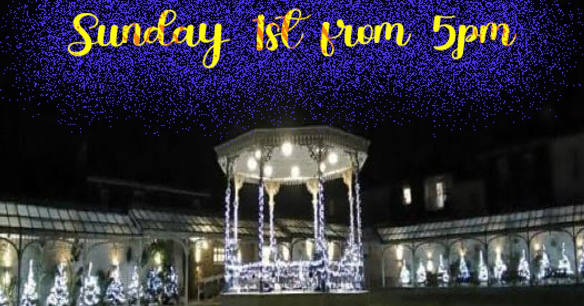 Christmas Tree Lights.jpg