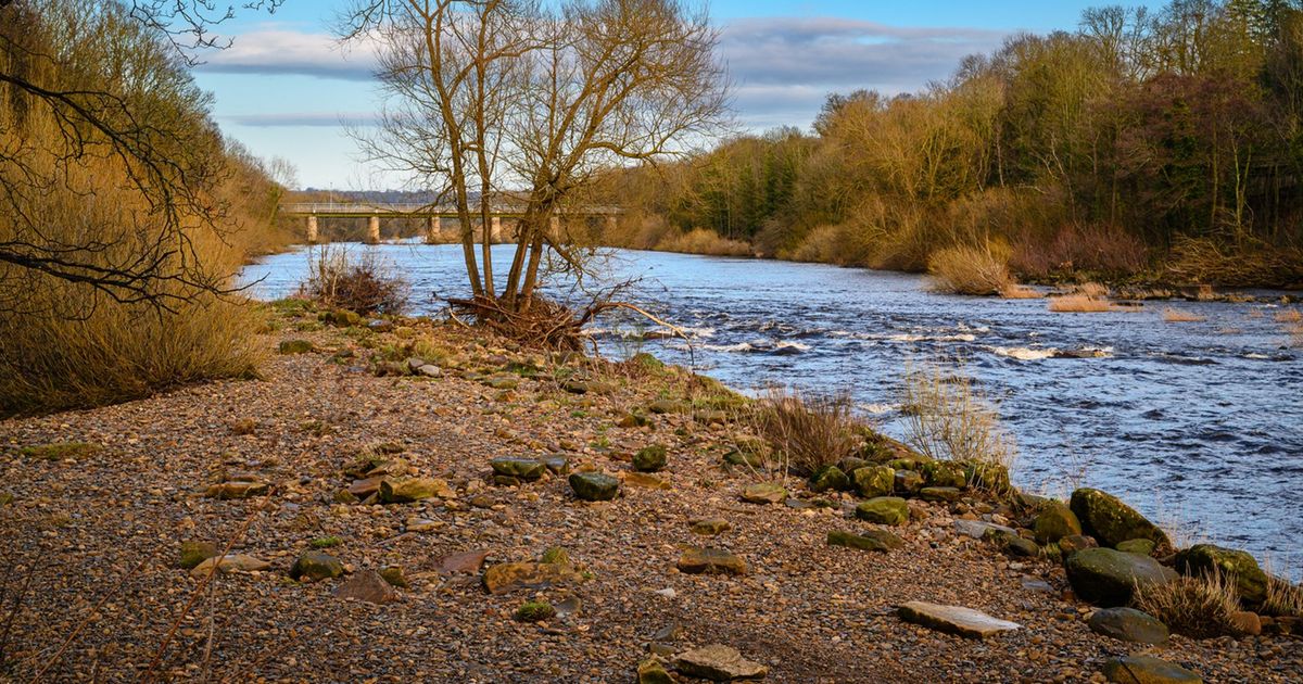 imported-skynews-river-tyne-wylam_7328225.jpg