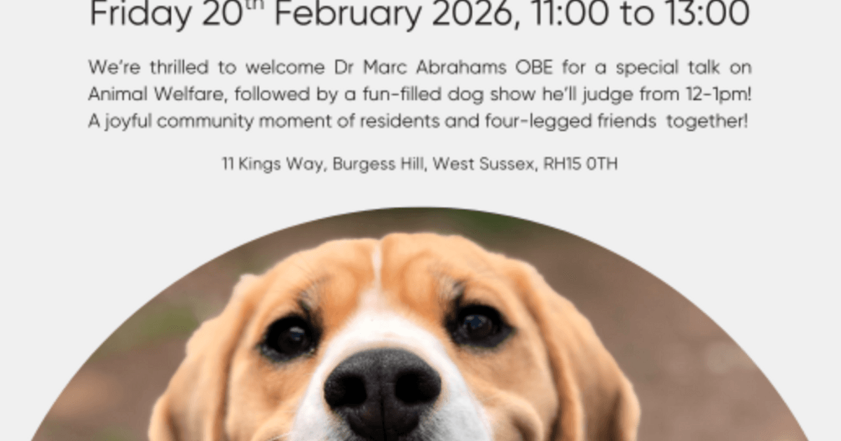 Screenshot 2026-01-26 at 11.04.40.png