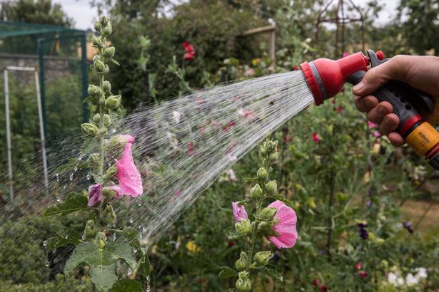 imported-1_Hosepipe-Ban-Looms-In-Drought-hit-Britain.jpg