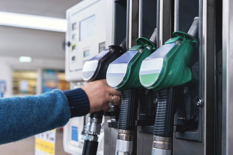 imported-.jpeg