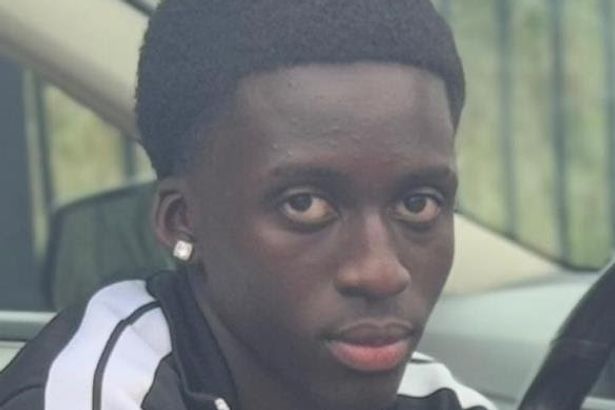 imported-0_Baye.jpg