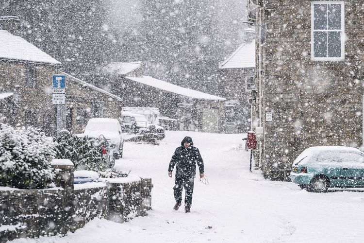 imported-Snow GV 3-4a0c4b.jpg
