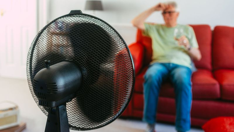 imported-skynews-electric-fan-heat-heatwave_7281463.jpg