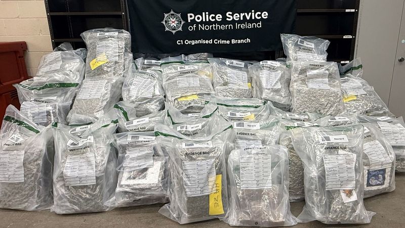imported-skynews-cannabis-drugs_7232935.jpg