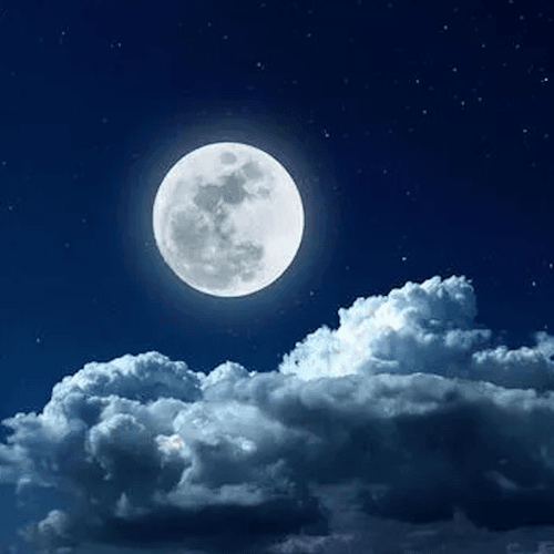 BR Through The Night Website.png