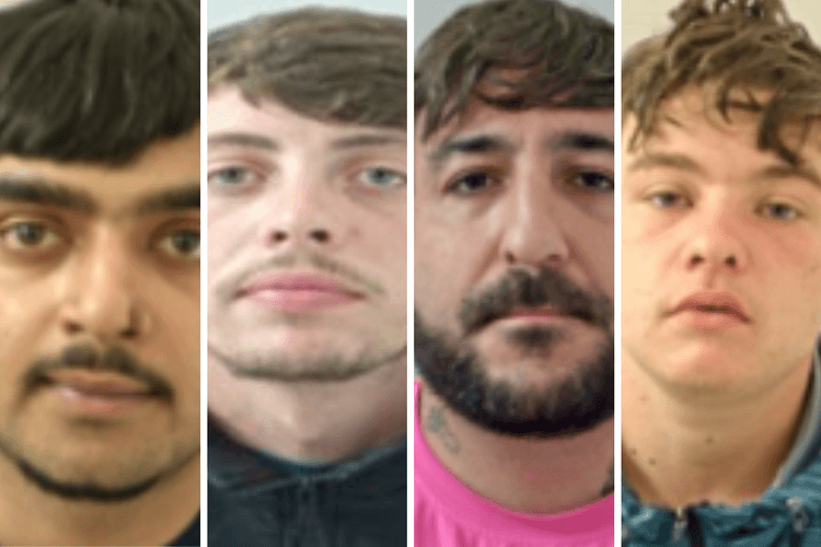 imported-.png