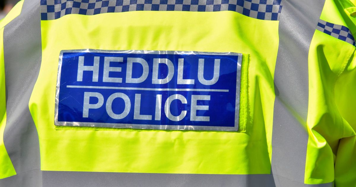 imported-skynews-police-anon-cardiff_6838527.jpg