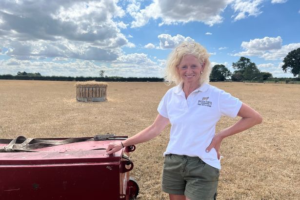 imported-0_Judith-Jacobs-Moor-Farmjpeg.jpg