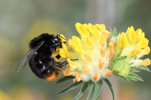 imported-01KRJGXVK8PJKH996J5CNZY5AK-567264.jpg