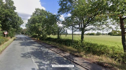 imported-skynews-strawberry-lane-camping_7344194.jpg