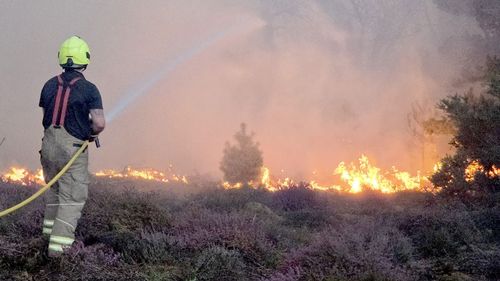 imported-skynews-suffolk-dunwich-heath_7310315.jpg