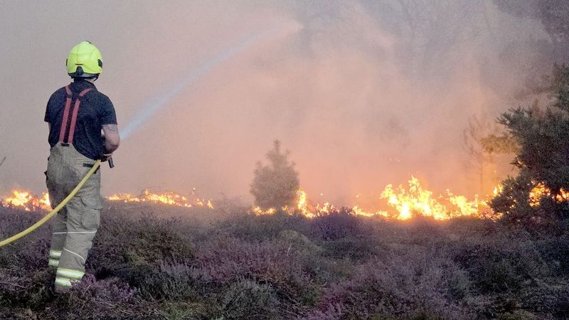 imported-skynews-suffolk-dunwich-heath_7310315.jpg