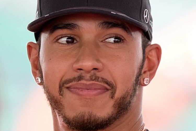 imported-Lewis_Hamilton_2016_Malaysia_2-fb22ee.jpg