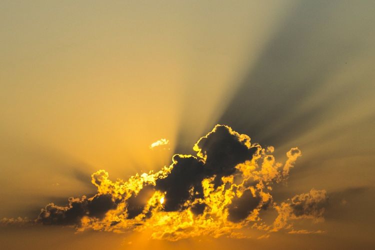 imported-Sunshine 1-127cb3.jpg